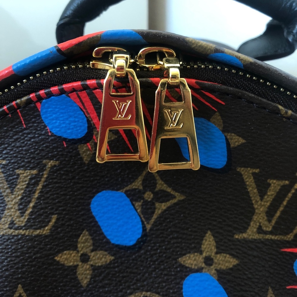 Louis Vuitton limited edition backpack⚡️FIRM PRICE - Picture 6 of 8